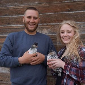 Meet your Posher, Tyler